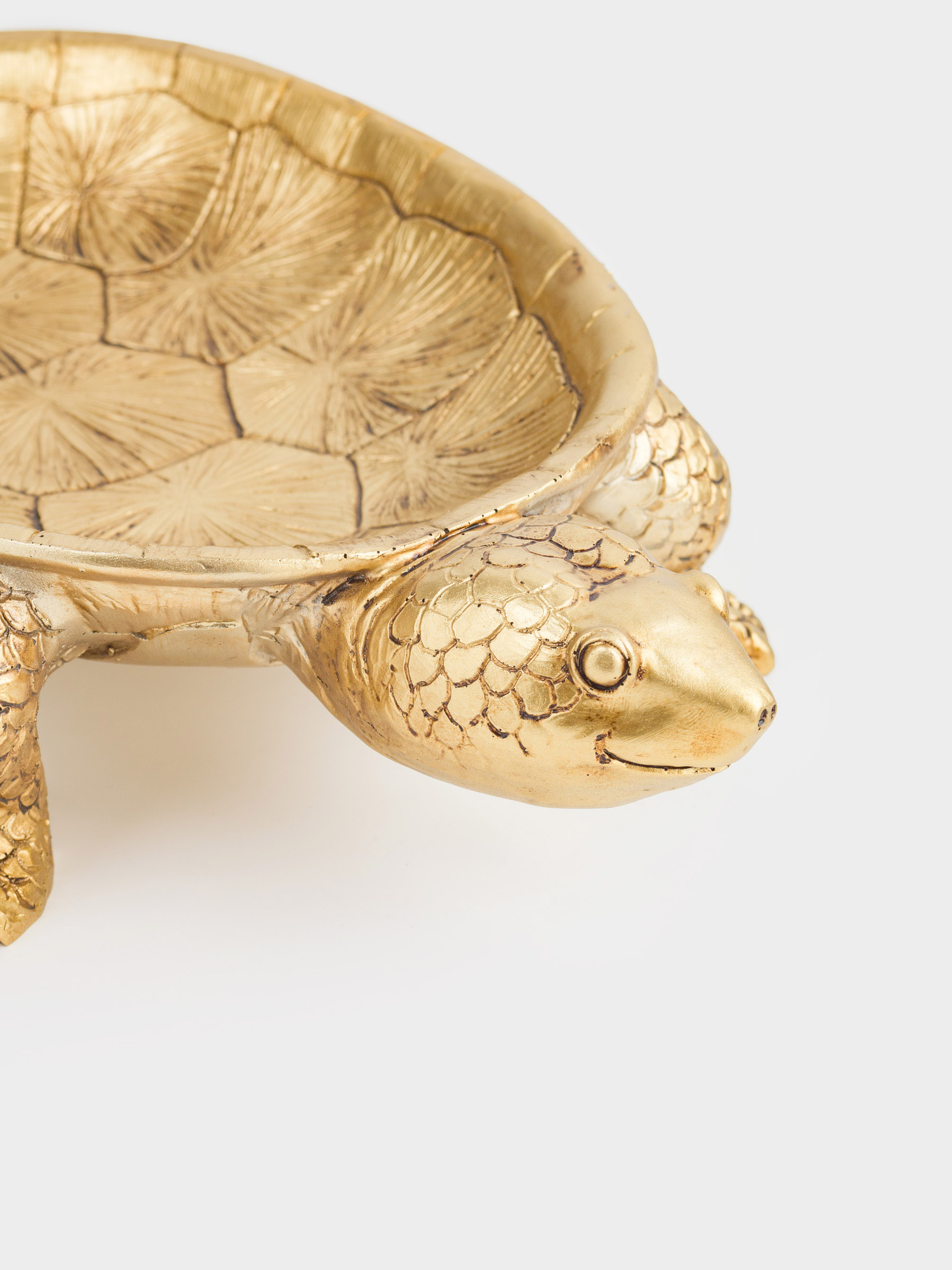 Decorative dish, 31x18 cm, polyresin, golden, Turtle, Coast, image-7