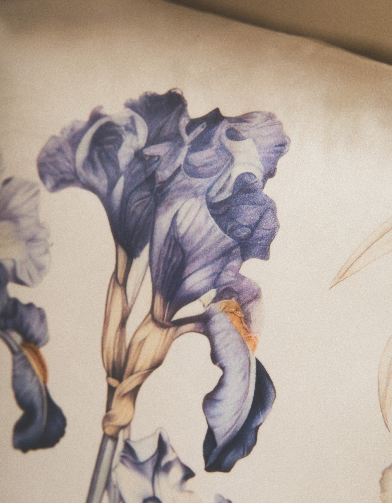 Decorative pillow, 45x45 cm, velvet, milky, Irises, Iris garden, image-3