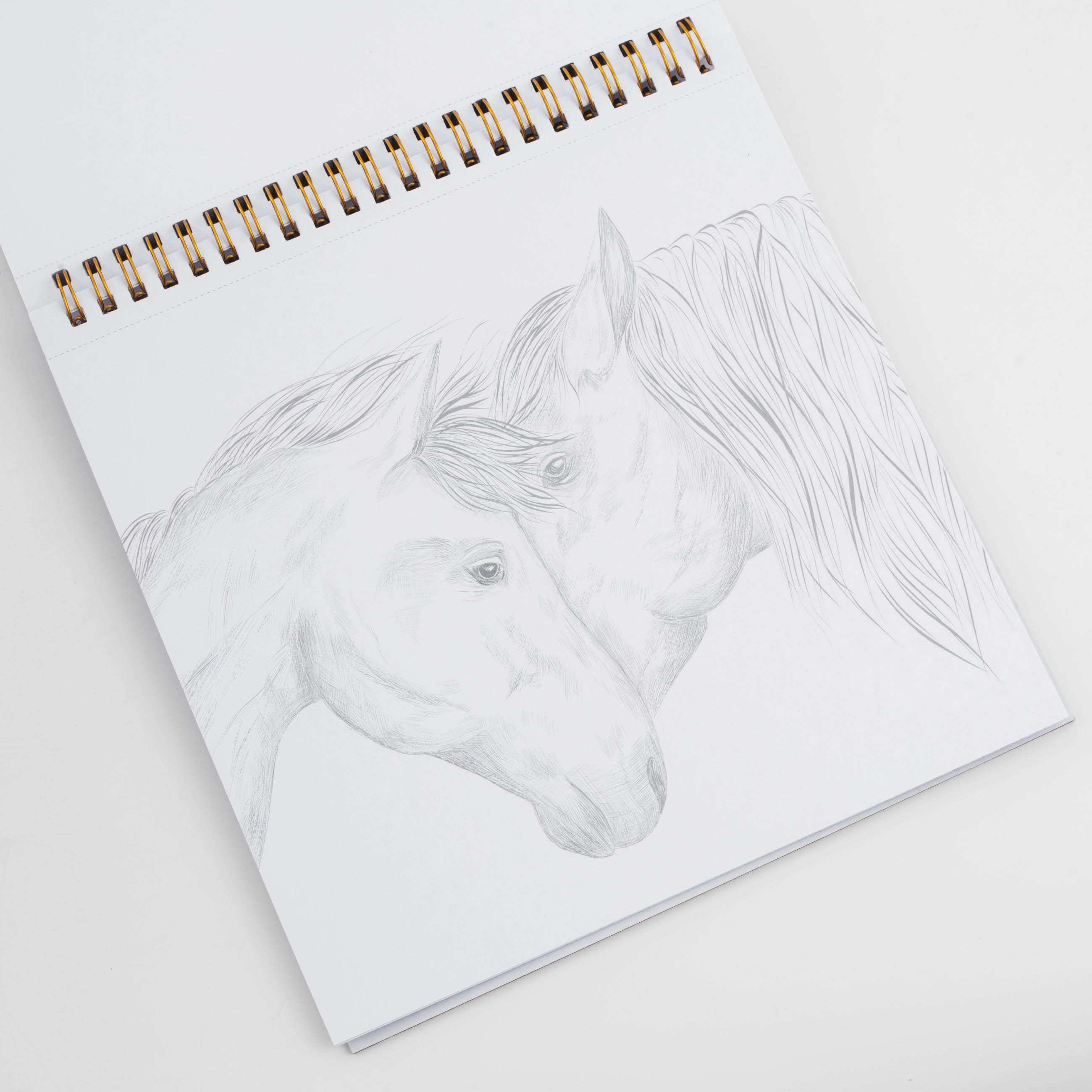 Coloring book, 21x21 cm, 24 sheets, on rings, Animals, Draw, image-4