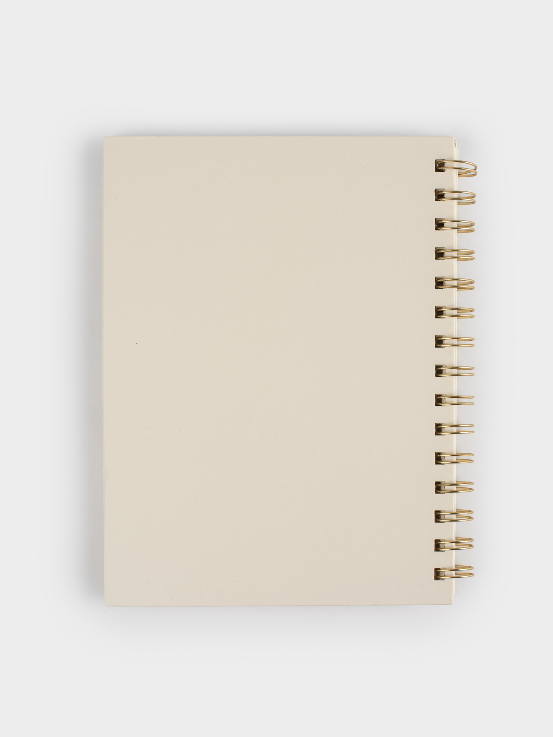 Notepad for notes, 15x20 cm, 70 l, on rings, cardboard, Picture, Stationery, image-1