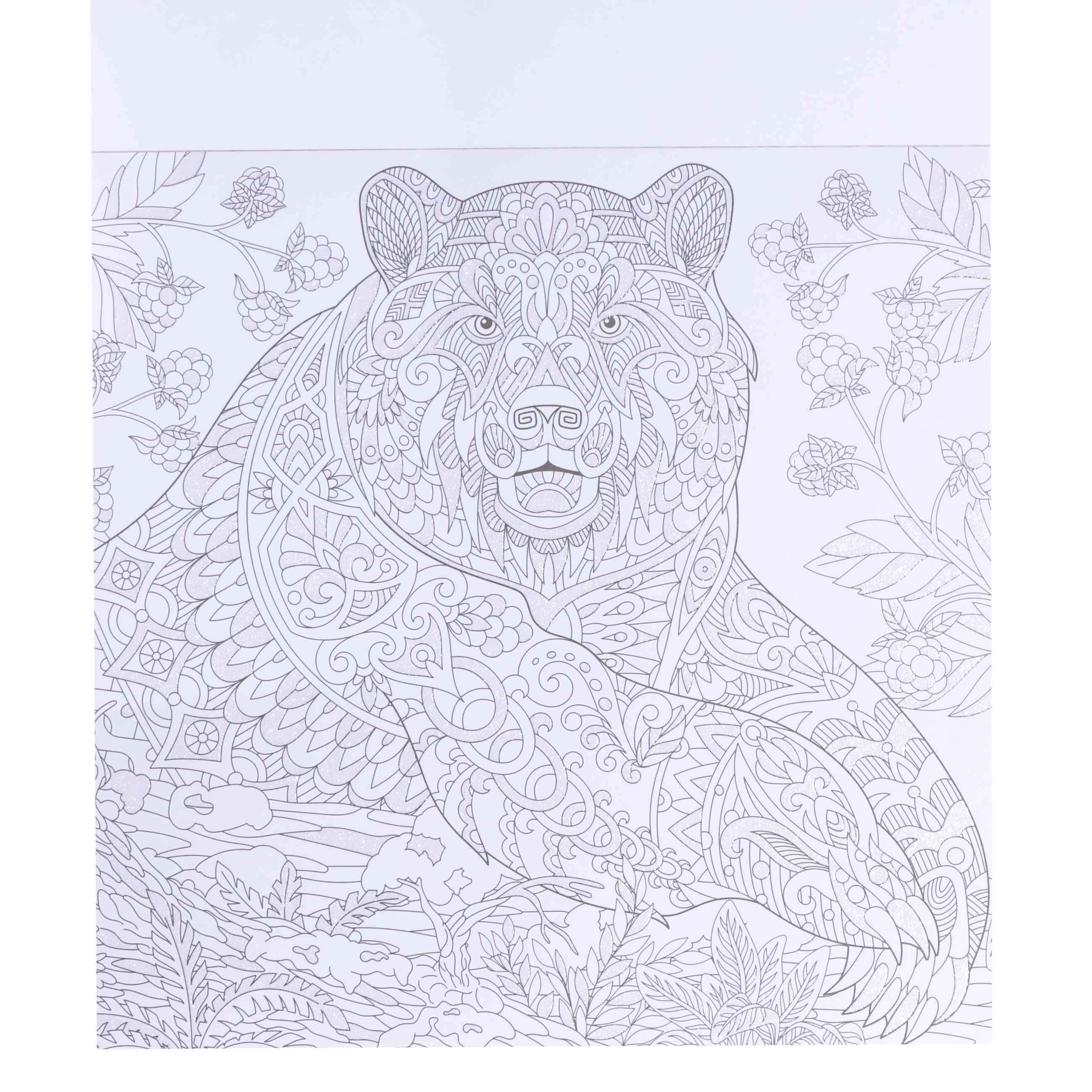 Coloring book, 20x20 cm, 24 sheets, with glitter, Patterns and animals, Draw, image-3