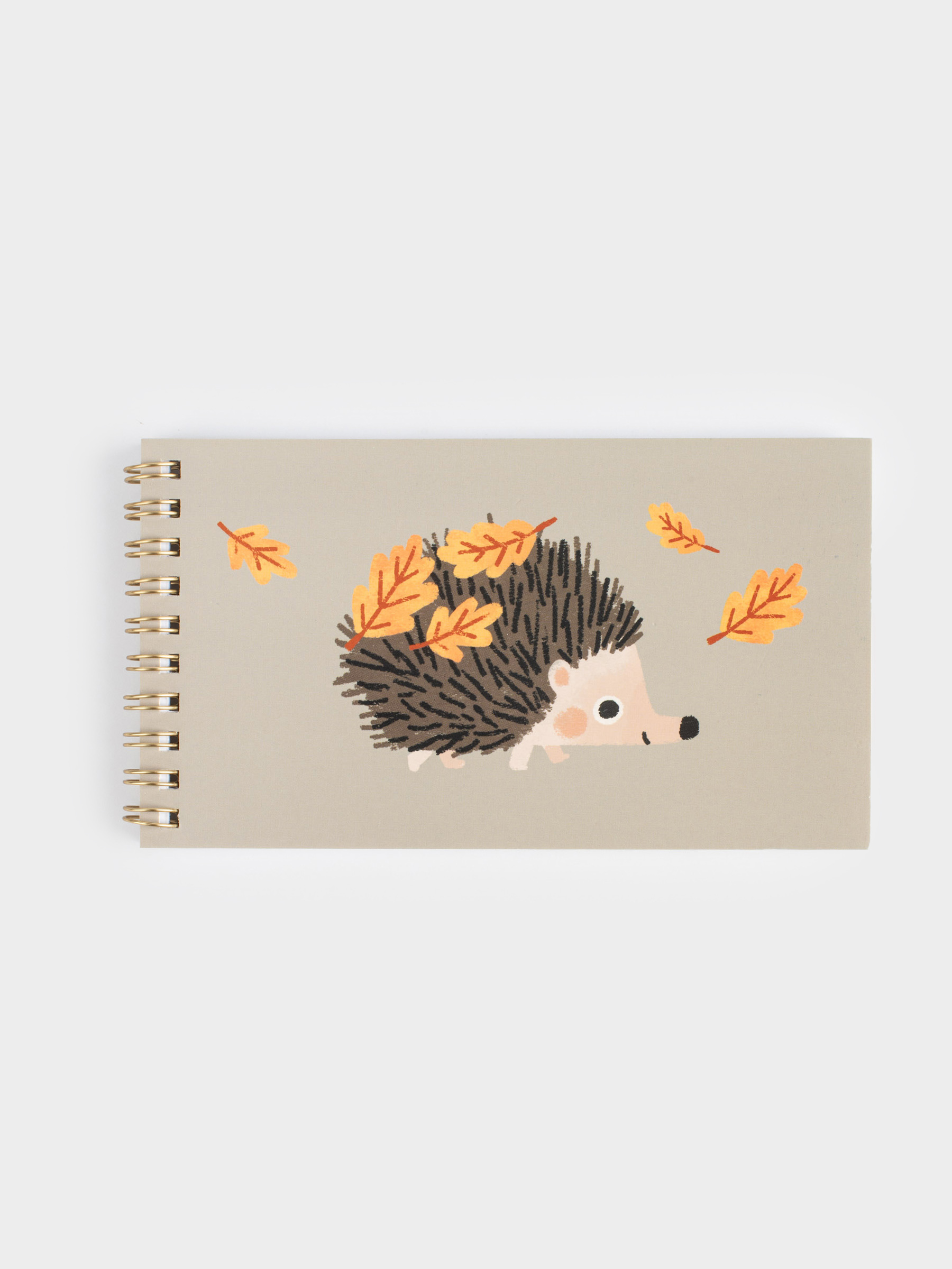 Notepad for notes, 9x16 cm, 100 l, on rings, cardboard, Hedgehog with leaves, Forest animals, image-0