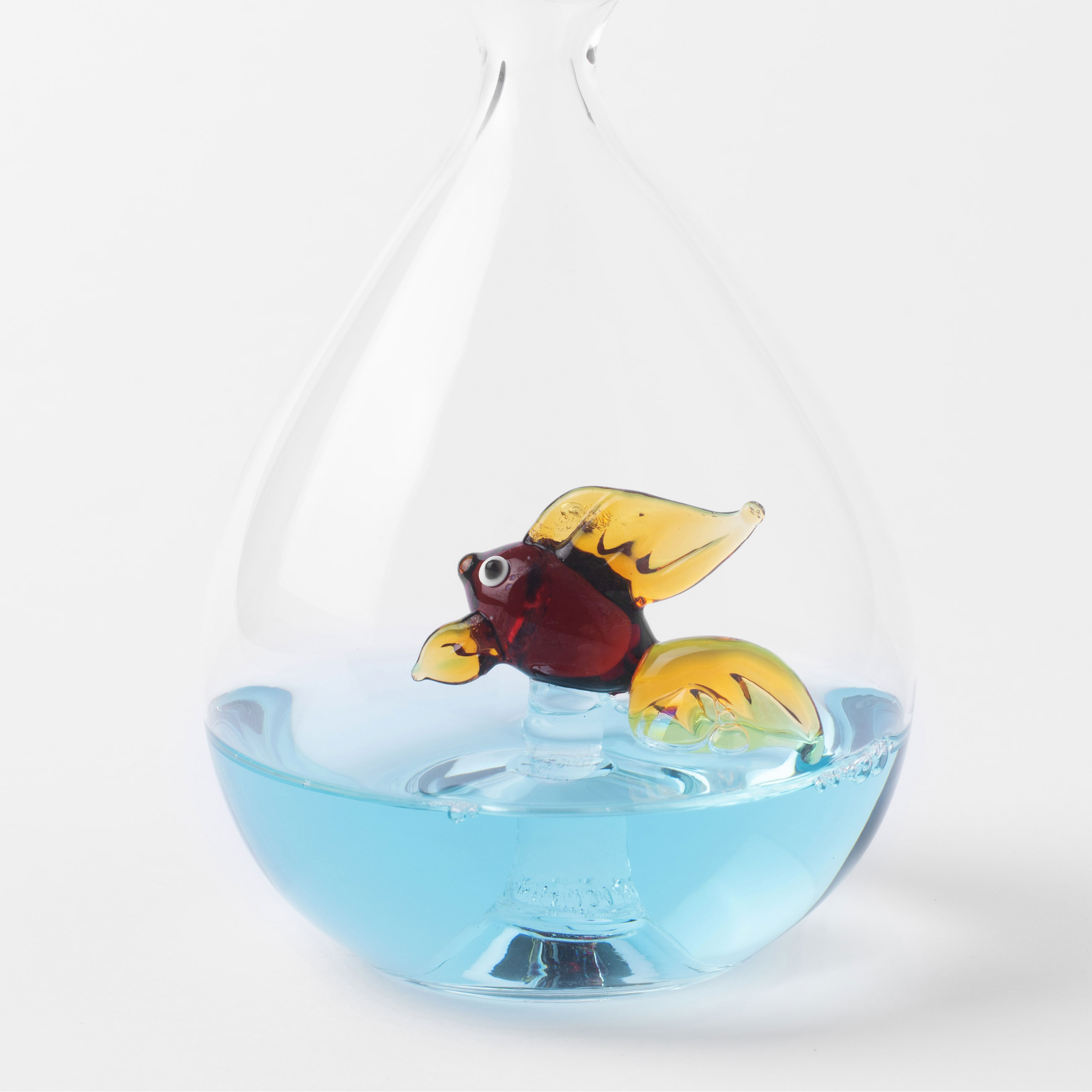 Fish bowl watch clearance