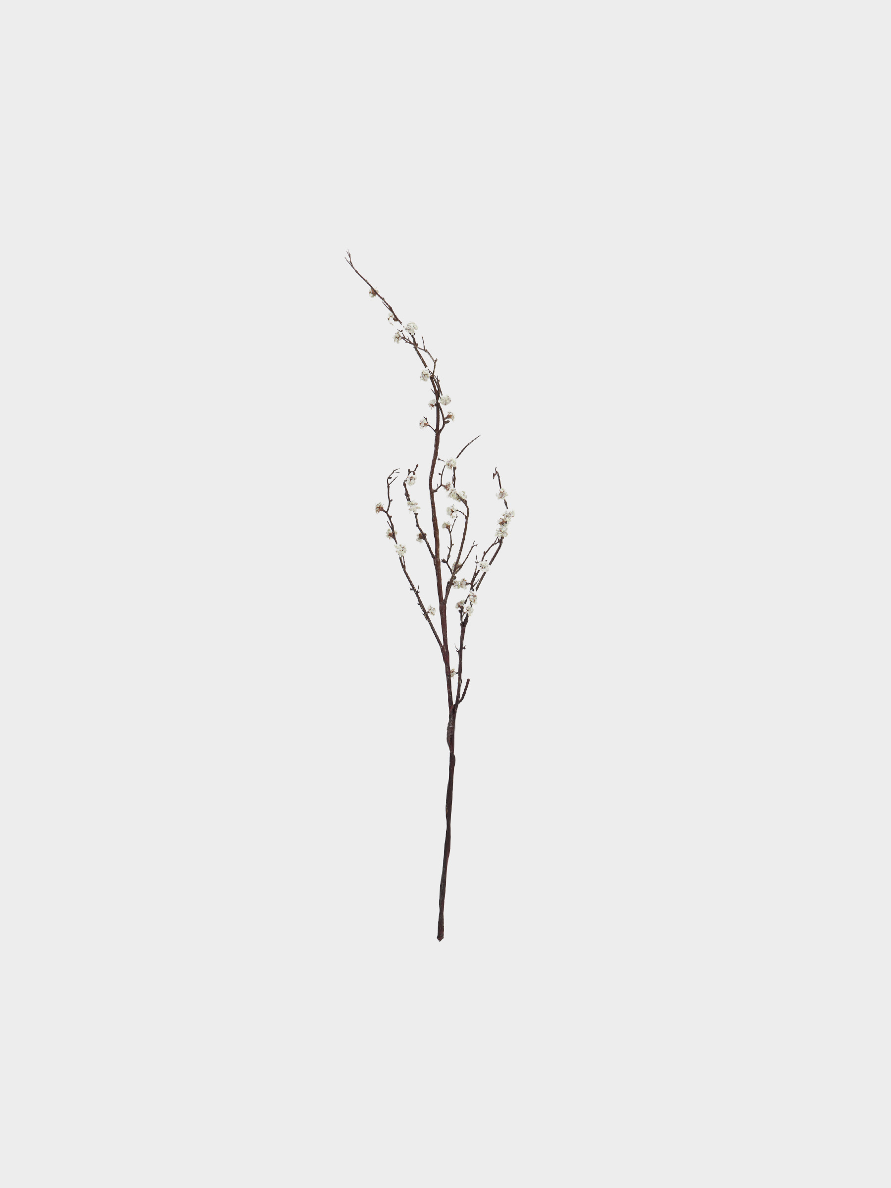 Decorative branch, 1.1 m, plastic / polyester, Plum blossoms, Flower garden, image-0