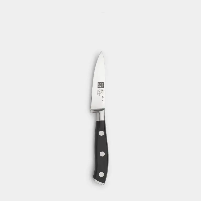 Paring knife, 9 cm, steel / plastic, Actual ,image-0