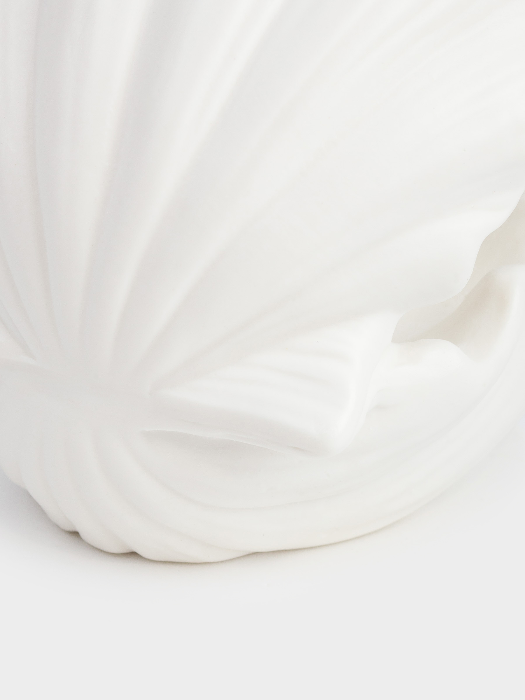 Decorative lamp, 10x11 cm, porcelain P, white, Shell with pearl, Tridacna, image-4