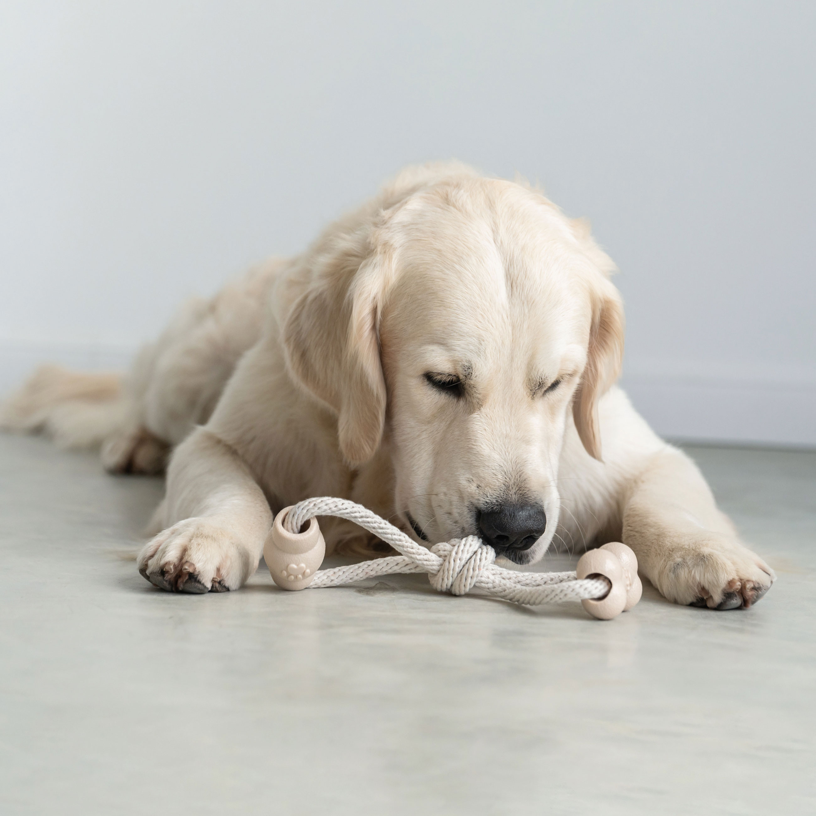Dog toy, 28 cm, rubber / cotton, Beige, Bone and barrel on rope, Playful pet, image-1