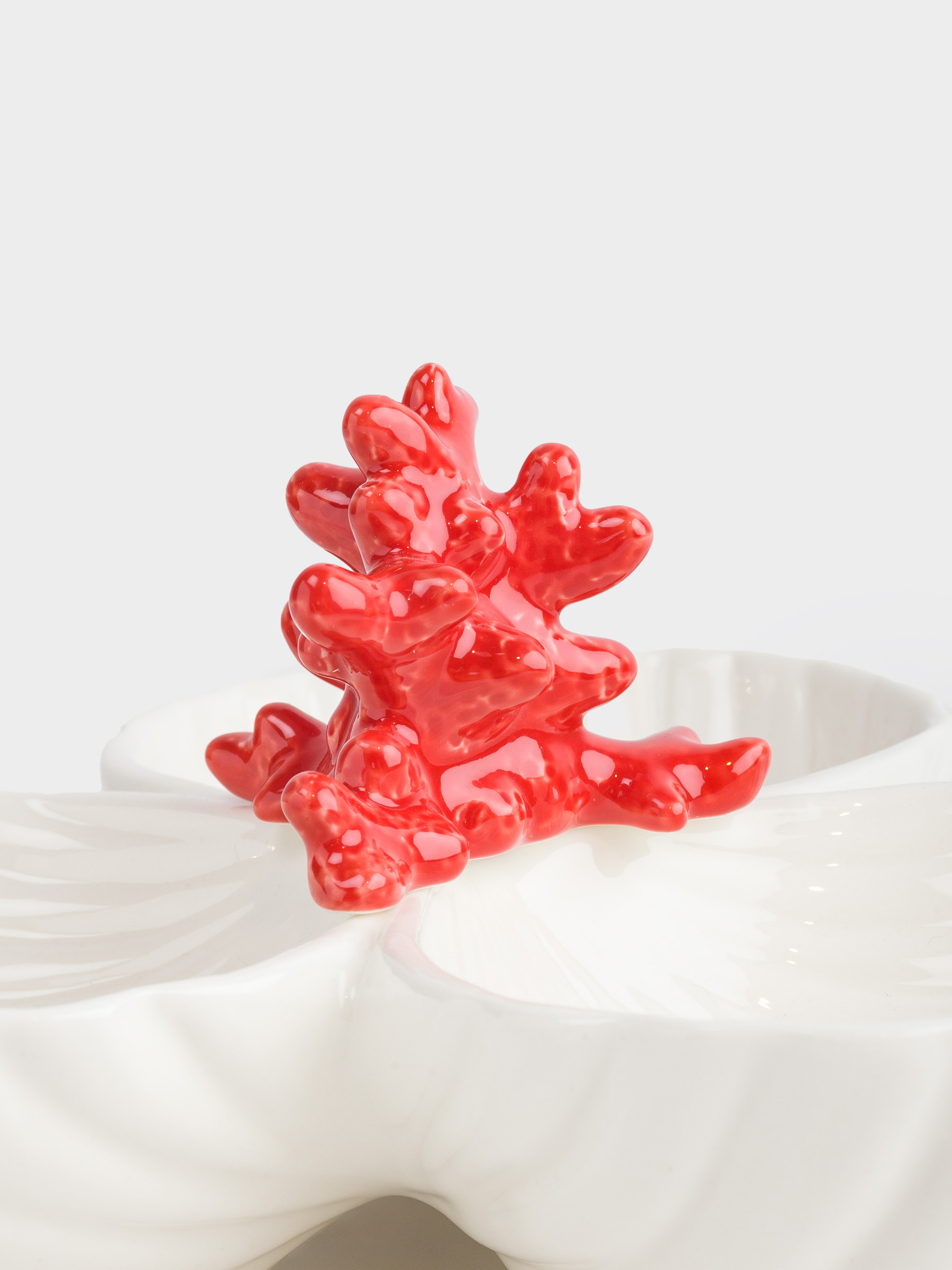 Divided plate, decorated, 26 cm, 3 compartments, porcelain P, white and red, Shells with coral, Coral, image-5
