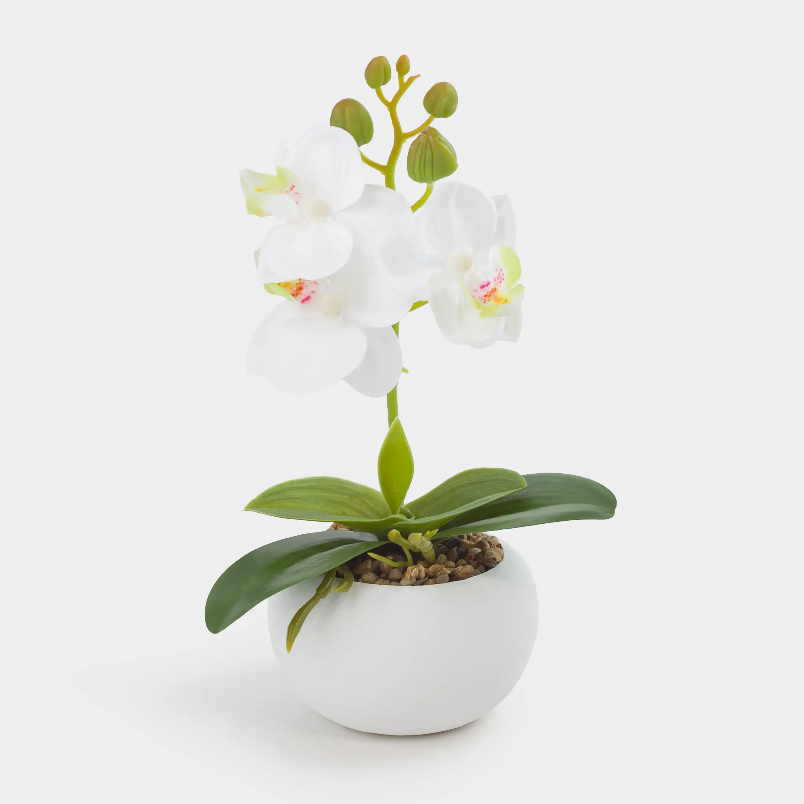 Artificial plant, 22 cm, in a pot, Thermoplastic rubber / ceramic, White Orchid, Orchid