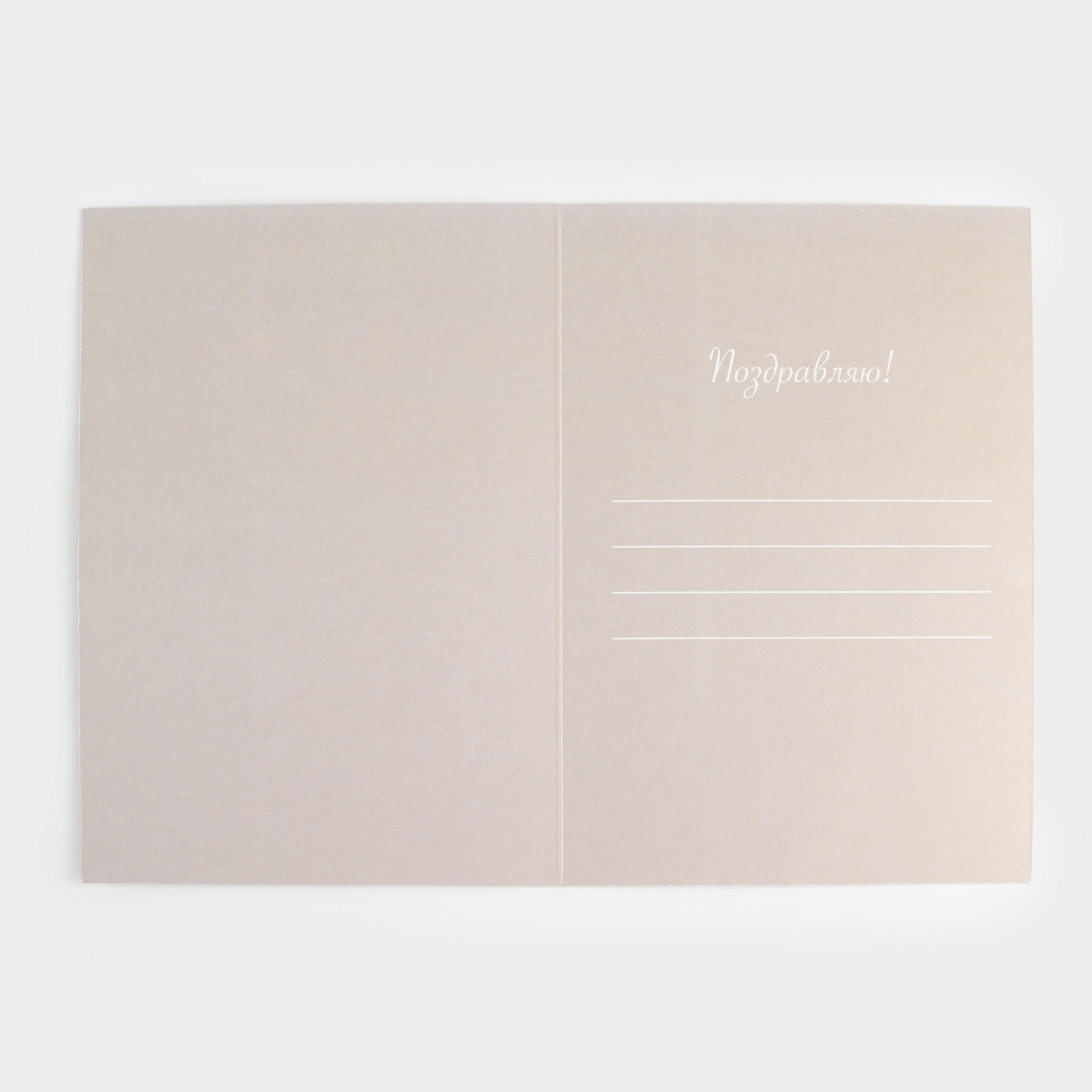 Gift envelope, 12x17 cm, paper, grey-brown, Dried flowers, Congrats, image-4