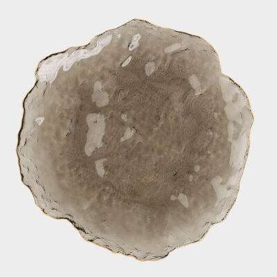 Dish, 30 cm, glass, gray, with golden edging, Nautilus color ,image-0
