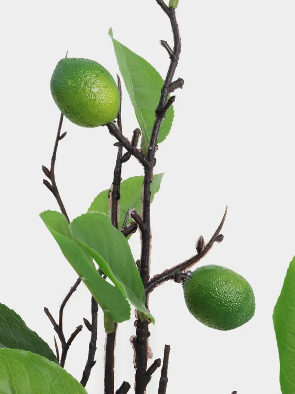 Decorative branch, 95 cm, material, Lime, Fruit decor, image-3