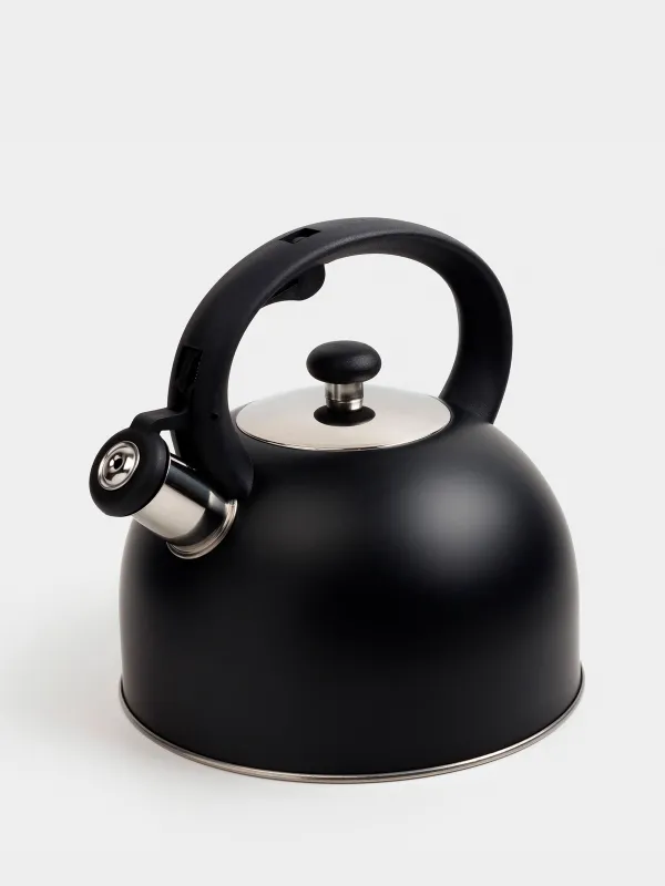 Teapot, 3 L, with whistle, steel / nylon, Black, Whistle, image-3