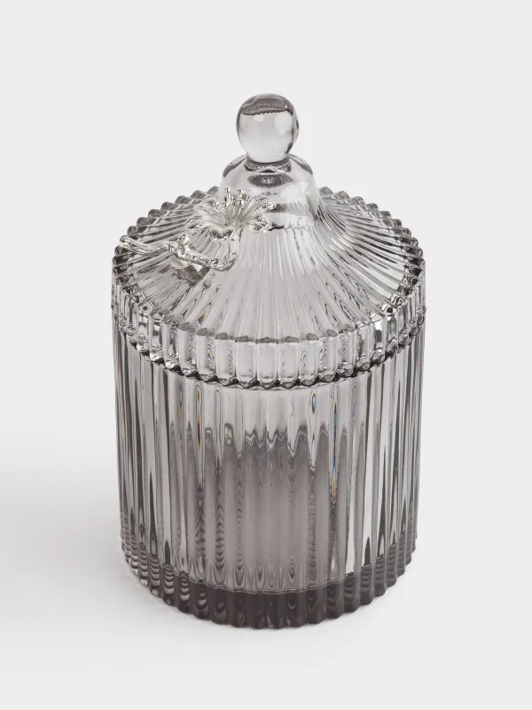 Storage container, 17x11 cm, 550 ml, with lid, glass R / metal, gray, Bird, Selene, image-1