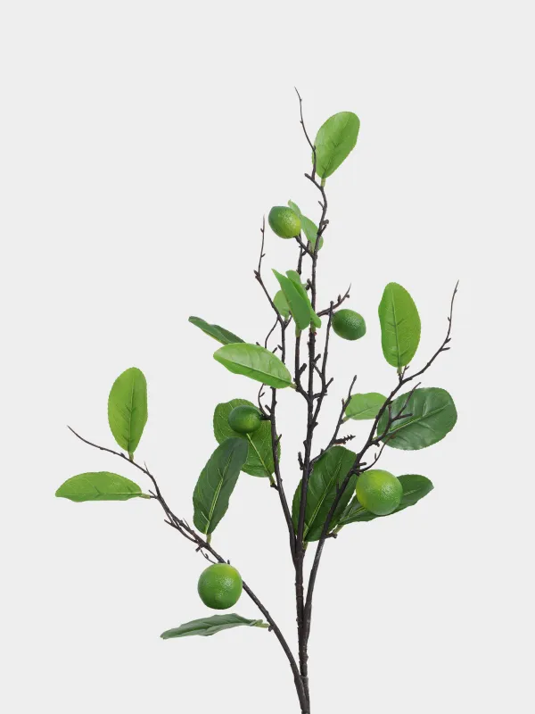 Decorative branch, 95 cm, material, Lime, Fruit decor, image-1