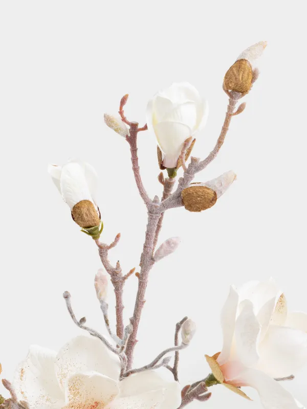 Decorative branch, 85 cm, polyester / plastic, champagne, White magnolia, Magnolia, image-3