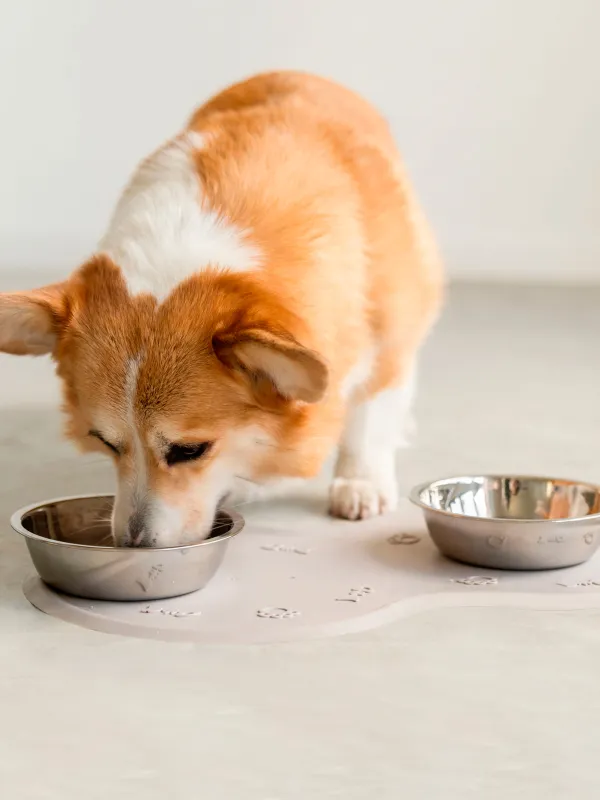 Pet bowl mat, 45x25 cm, rubber, gray-beige, Favorite pet, image-3