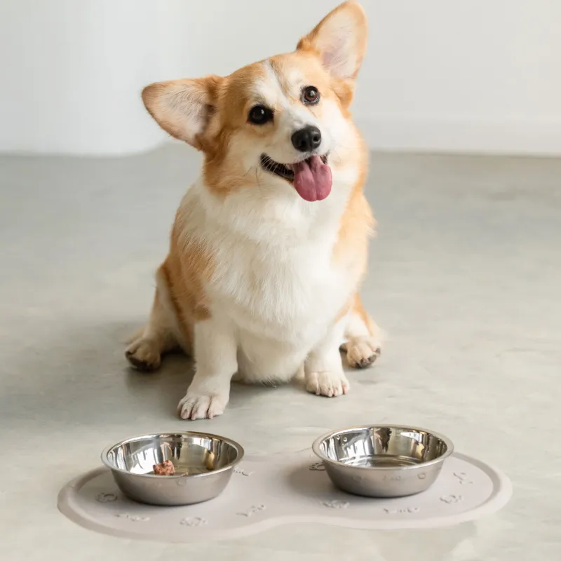 Pet bowl mat, 45x25 cm, rubber, gray-beige, Favorite pet, image-3