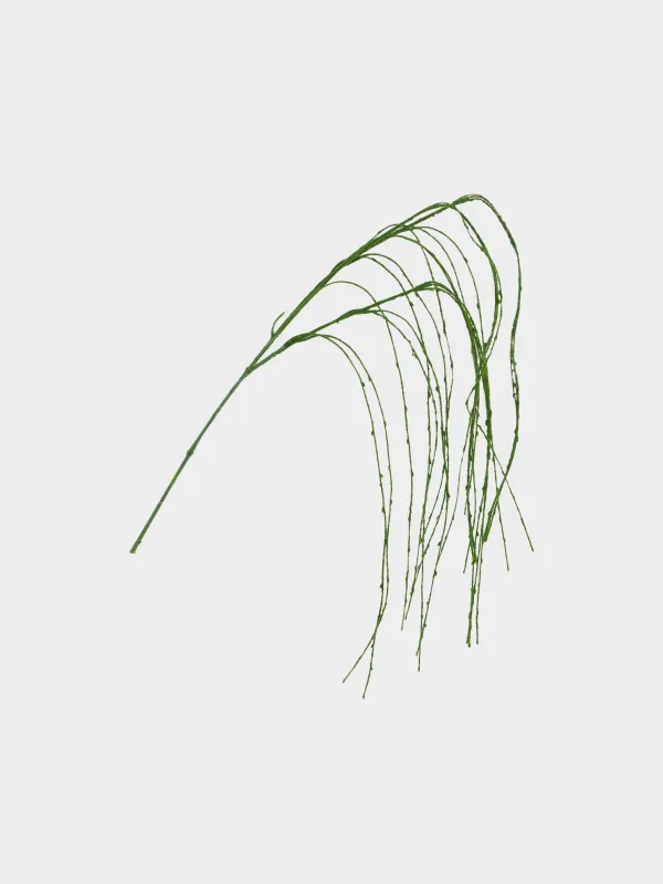 Decorative branch, 1.2 m, plastic / metal, Willow, Curved decor, image-0