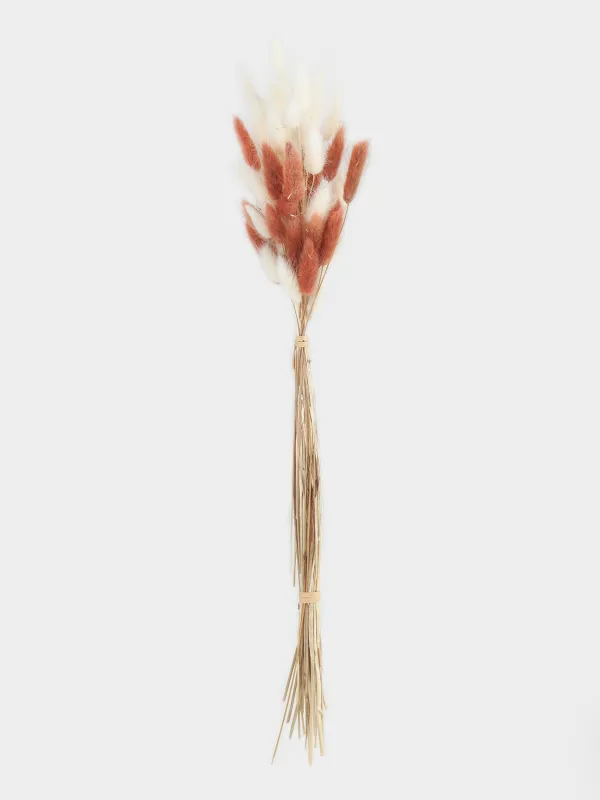 Decorative bouquet, 60 cm, dried flowers, beige / white, Spikelets, Dried flower, image-0