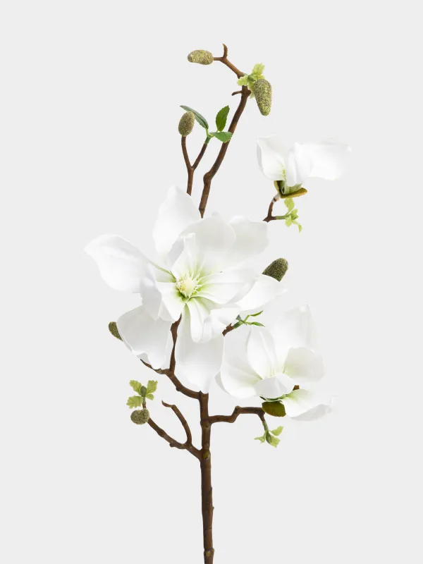 Decorative branch, 90 cm, polyurethane, White magnolia, Magnolia, image-1