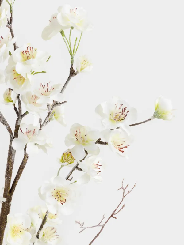 Decorative branch, 1.2 m, plastic / polyester, White Plum Blossom branch, Flower garden, image-3