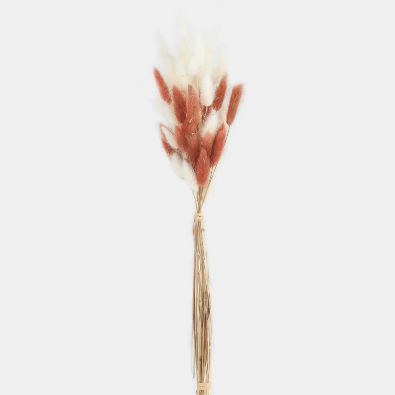 Decorative bouquet, 60 cm, dried flowers, beige / white, Spikelets, Dried flower