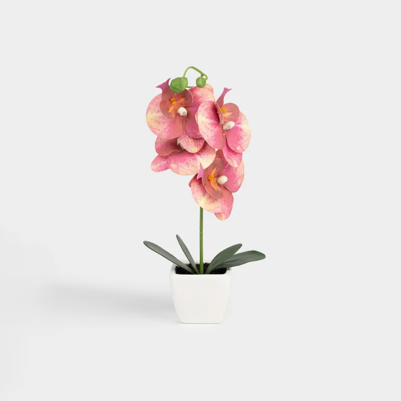 Artificial plant, 34 cm, in a pot, TPE / ceramic, Red Orchid, Orchid