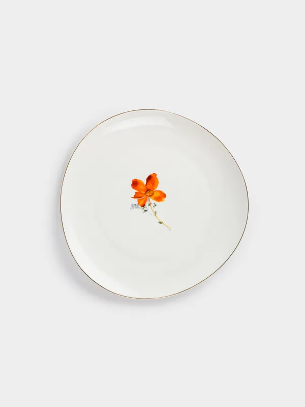 Dinner plate, 28 cm, porcelain N, white, with golden edging, wildflowers, Yarrow, image-0
