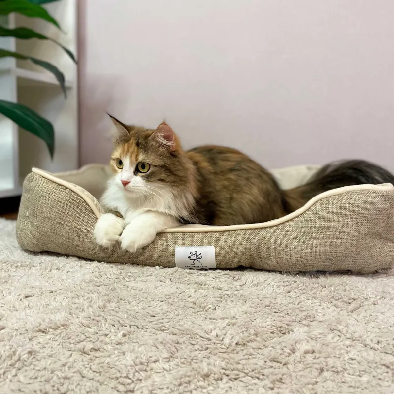 Animal lounger, 61x50x13 cm, polyester, beige, Funny pet, image-4