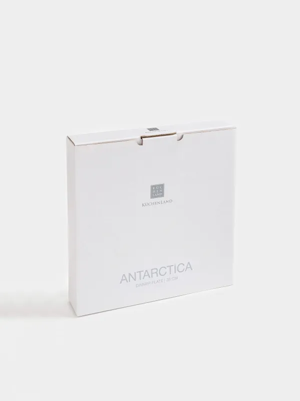 Dinner plate, 28 cm, porcelain F, Antarctica, image-4