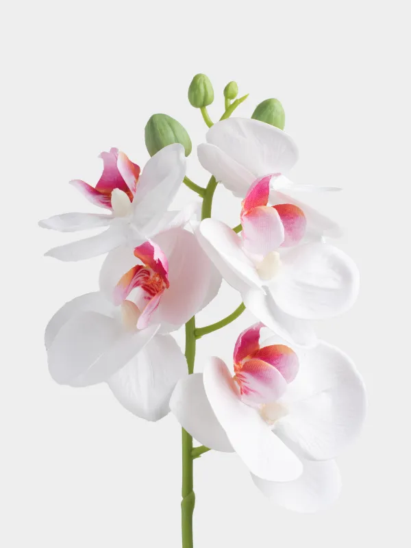 Artificial bouquet, 26 cm, in a vase, TEP / glass, White orchid, Orchid, image-3