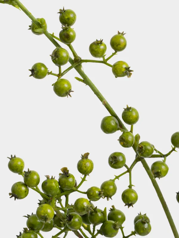Decorative branch, 1 m, foam/plastic, Green berries, Balls decor, image-3