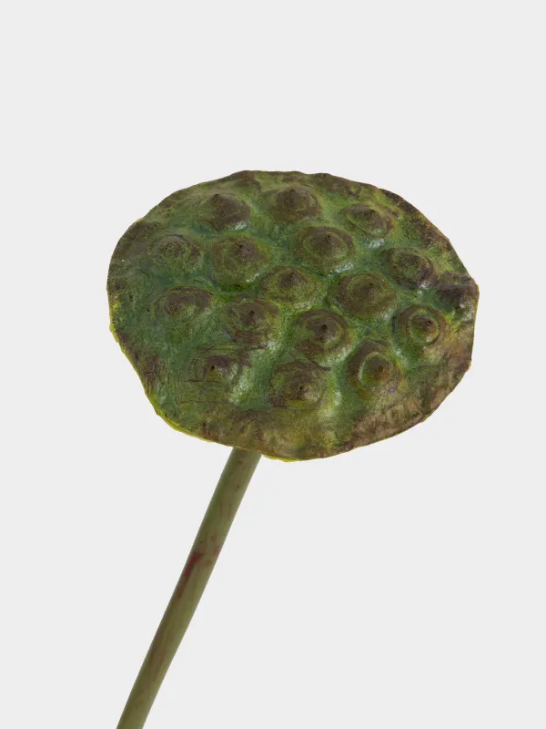 Artificial flower, 76 cm, polyurethane, Lotus, Flower garden, image-1