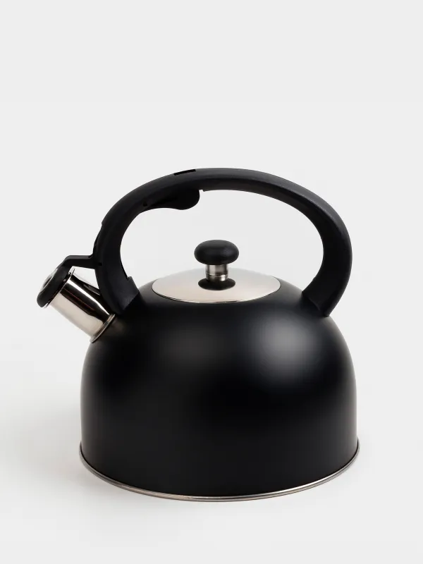 Teapot, 3 L, with whistle, steel / nylon, Black, Whistle, image-0
