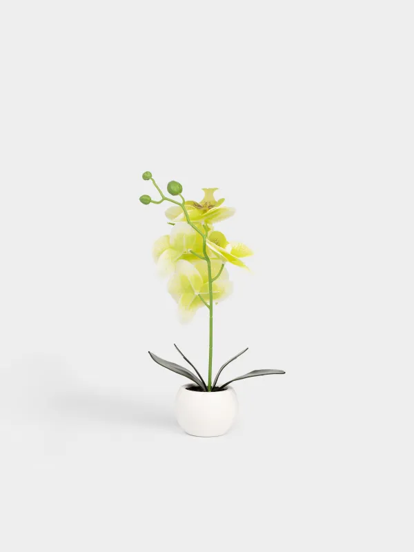 Artificial plant, 34 cm, in a pot, TPE / ceramic, Green orchid, Orchid, image-3
