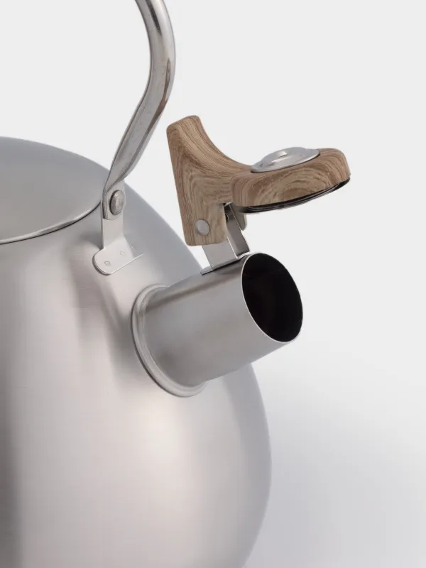 Kettle, 3,4 L, with whistle, steel / nylon, beige / matt, Whistle, image-3