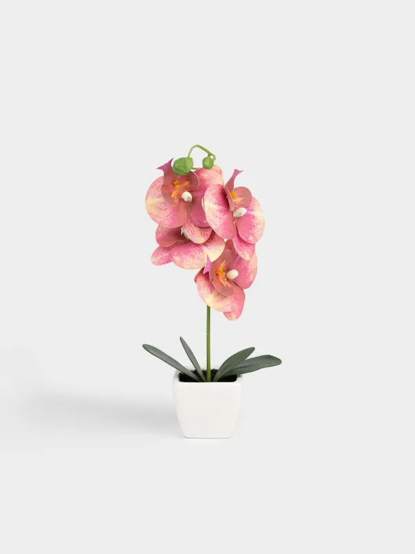 Artificial plant, 34 cm, in a pot, TPE / ceramic, Red Orchid, Orchid, image-0