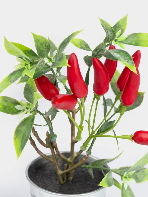 Decorative composition, 20 cm, in a pot, foam/plastic, Red pepper, Vegetable shape, image-2