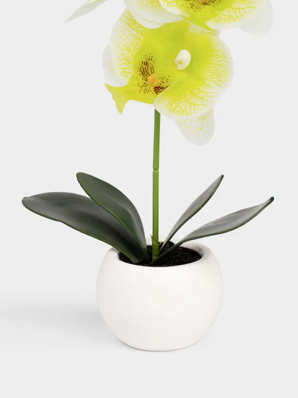 Artificial plant, 34 cm, in a pot, TPE / ceramic, Green orchid, Orchid, image-2