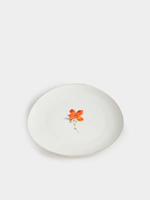 Dinner plate, 28 cm, porcelain N, white, with golden edging, wildflowers, Yarrow, image-2