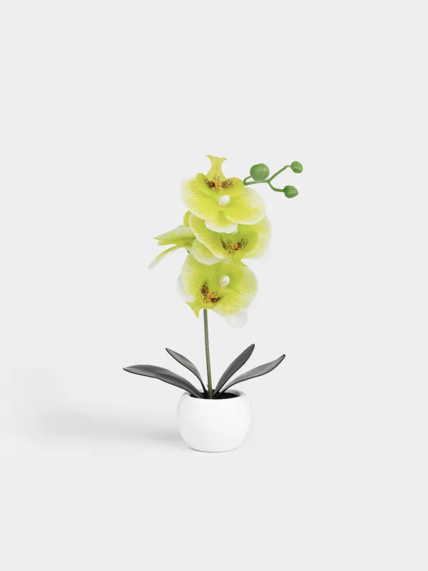 Artificial plant, 34 cm, in a pot, TPE / ceramic, Green orchid, Orchid, image-0