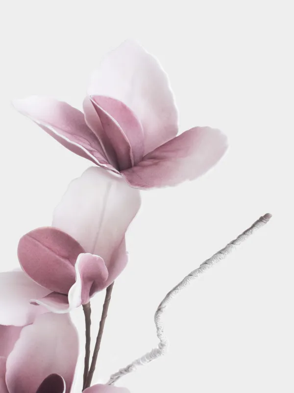 Decorative branch, 90 cm, plastic / foam, Pink magnolia, Magnolia, image-2