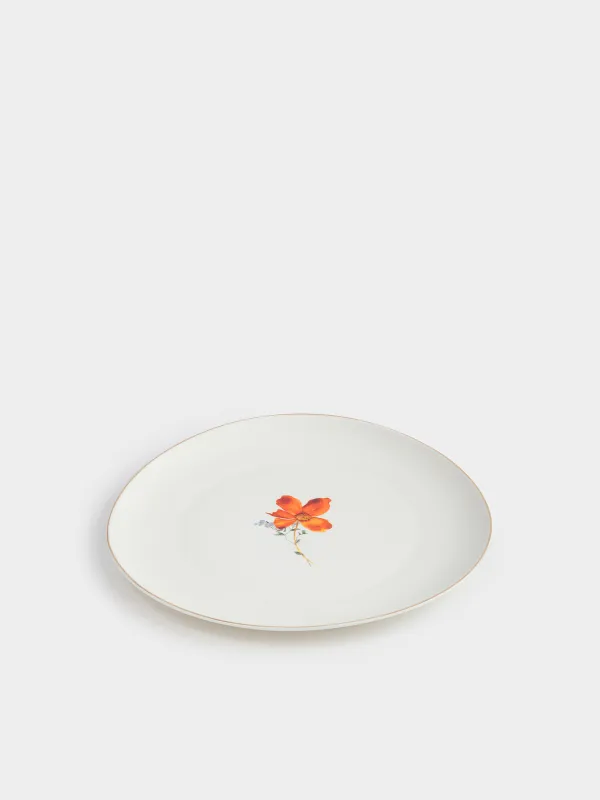 Dinner plate, 28 cm, porcelain N, white, with golden edging, wildflowers, Yarrow, image-1