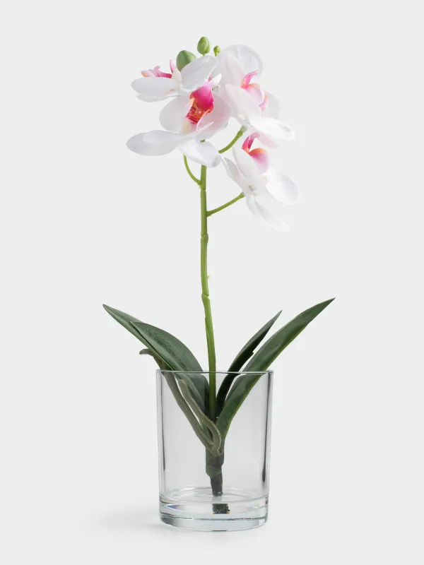 Artificial bouquet, 26 cm, in a vase, TEP / glass, White orchid, Orchid, image-0