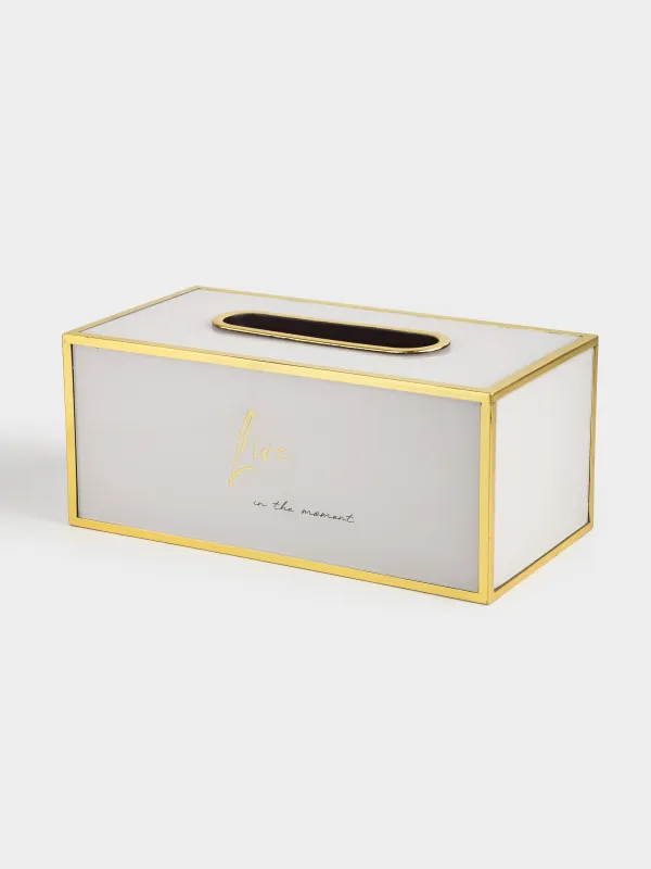 Paper napkin box, 24x13 cm, plastic / glass, milky gold, Live, Fardella, image-1