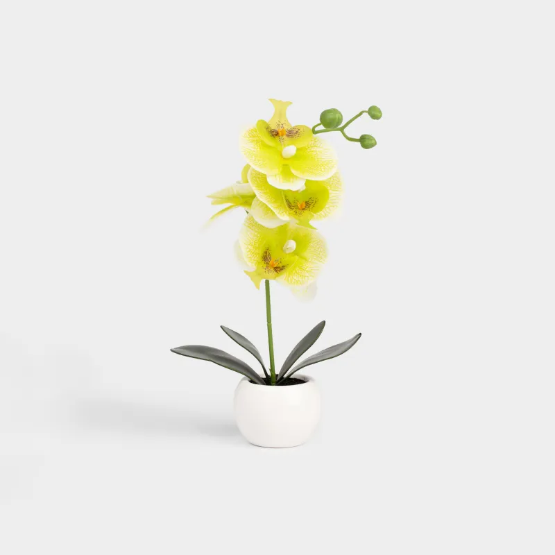 Artificial plant, 34 cm, in a pot, TPE / ceramic, Green orchid, Orchid