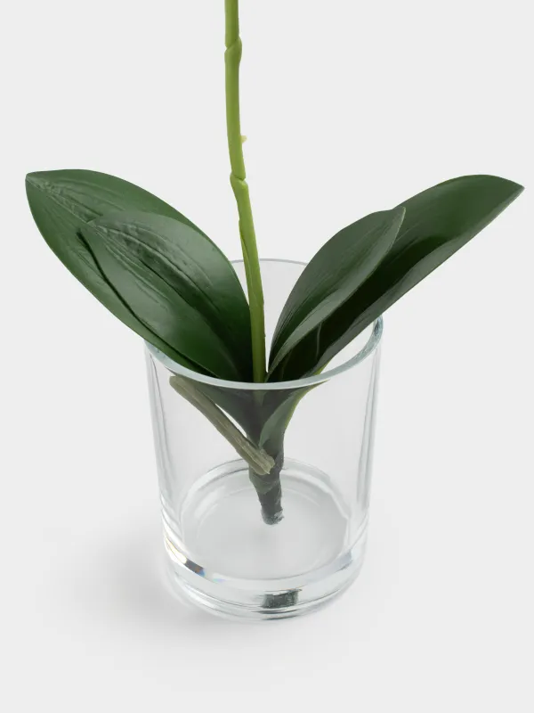 Artificial bouquet, 26 cm, in a vase, TEP / glass, White orchid, Orchid, image-2