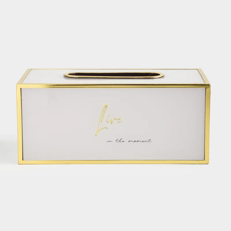 Paper napkin box, 24x13 cm, plastic / glass, milky gold, Live, Fardella