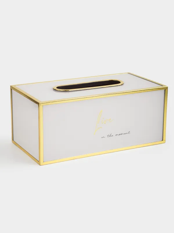 Paper napkin box, 24x13 cm, plastic / glass, milky gold, Live, Fardella, image-3